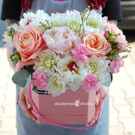 Изображение товара #3646