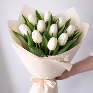 Букет из 9 белых тюльпанов