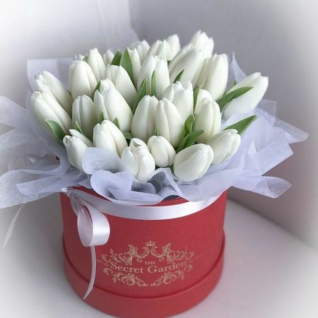 Изображение товара #5494