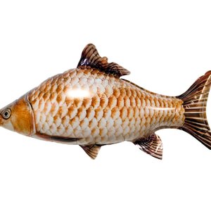 Фольгированный шар "Рыба речная"