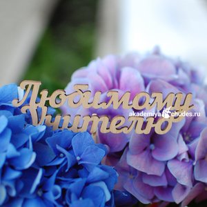 Топпер Любимому Учителю