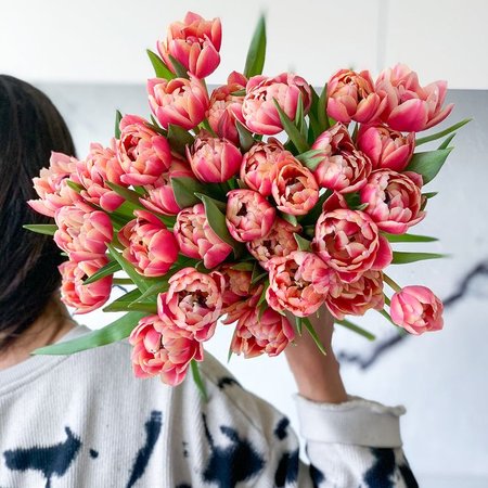 Изображение товара #12272