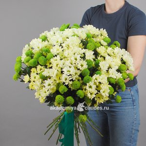 Букет 25 Хризантем