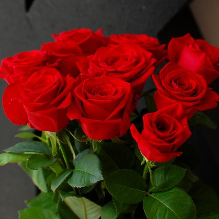 Изображение товара #6292