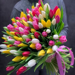 Тюльпан Mix 1 шт от 25 шт