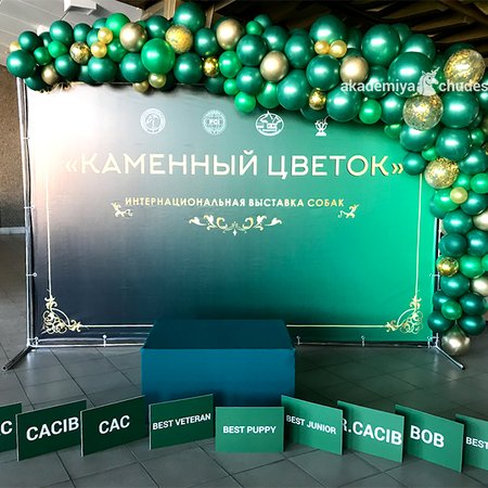 Изображение товара #2106