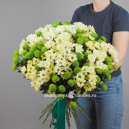 Изображение товара #3723