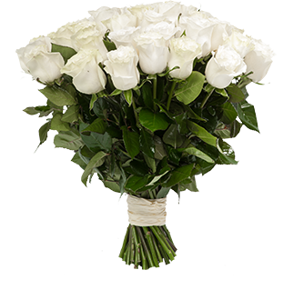 Изображение товара #943