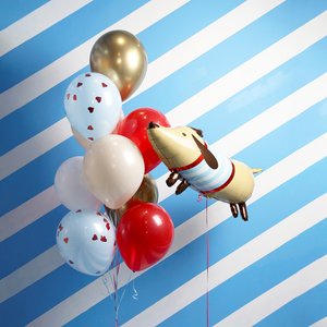 "Полосатая такса" набор из 10 воздушных шаров