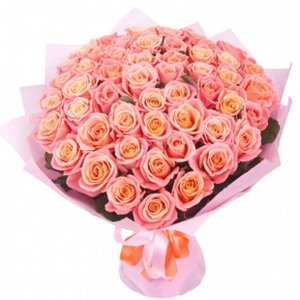 Монобукет из 51 розы Miss Piggy