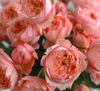 День матери