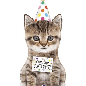 Фольгированный шар " Котенок в колпаке"