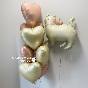 "Кошечка" набор из 8 воздушных шаров