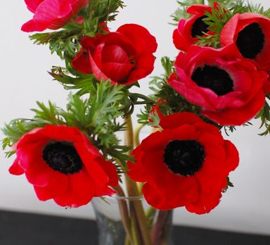 8 марта - Международный женский день