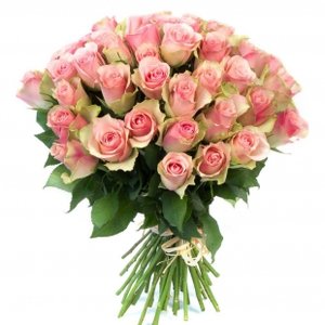 Монобукет из 51 розовой  розы