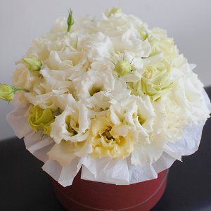 Шляпная коробка "Облако"