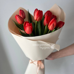 Букет из 11 тюльпанов