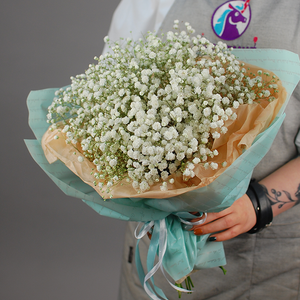 Монобукет из белой гипсофилы