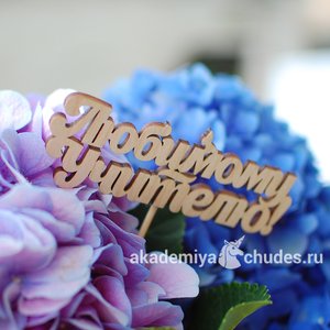 Топпер Любимому учителю (с бабочкой)