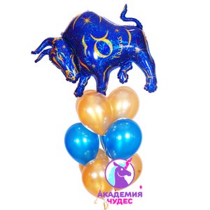 Фонтан из воздушных шаров "Знак Зодиака"