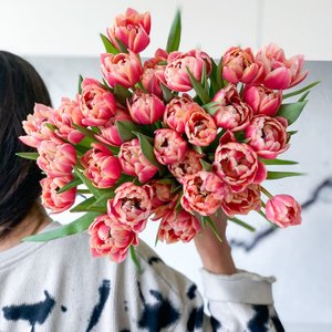 Тюльпан пионовидный 1 шт от 25 шт