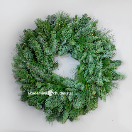 Изображение товара #5364