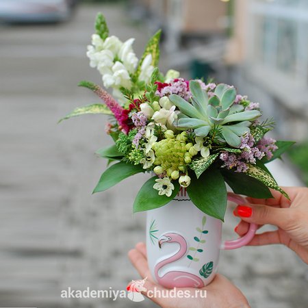 Изображение товара #2582