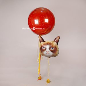 "Сердитая кошка и шар" набор из 2 воздушных шаров