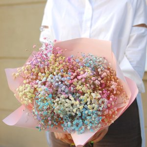 Монобукет из гипсофилы "Радуга"