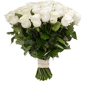 Монобукет из 25 белых роз