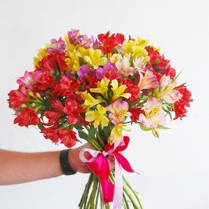 Монобукет из 15  альстромерий
