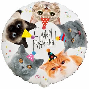 Фольгированный шар "С ДР Котики фотографичные"