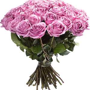 Монобукет из 25 сиреневых роз