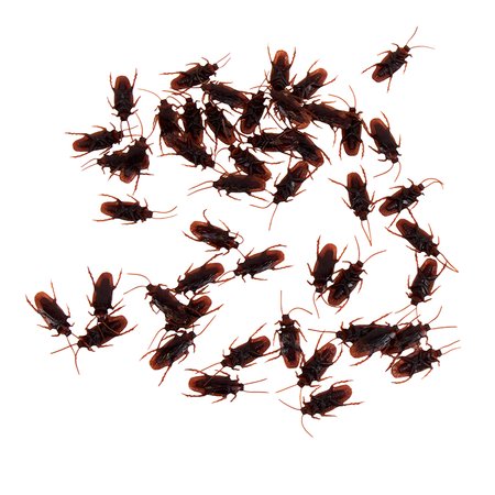 Изображение товара #13284