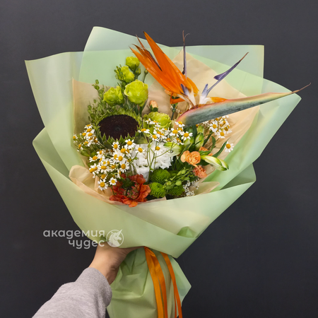 Изображение товара #13697