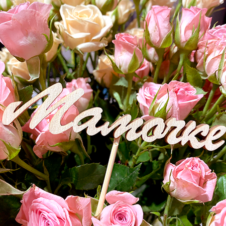 Изображение товара #2814