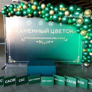 Фотозона Изумрудная с баннером и разнокалиберной гирляндой