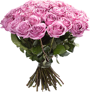 Изображение товара #1008