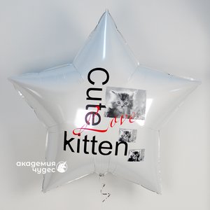 "Милый котёнок" шар с фото и текстом