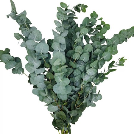 Изображение товара #10486