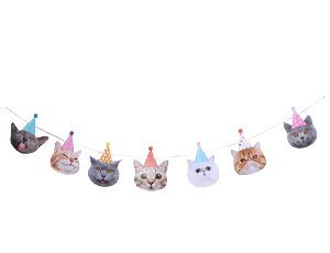 Гирлянда "Котики фотографичные"