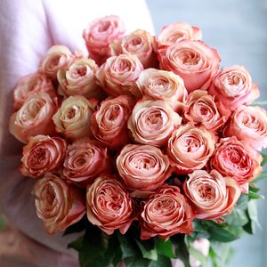 Букет из 25 пионовидных роз Kahala