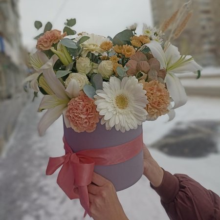 Изображение товара #10446